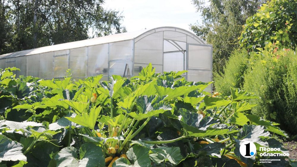 В Челябинской области открываются три агрокласса по проекту «Кадры в АПК»