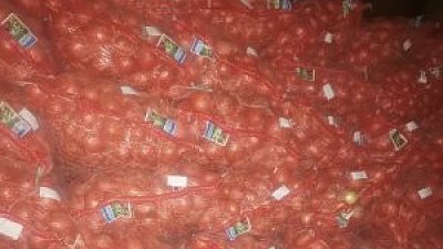 В Челябинскую область не пустили 35,7 тонны импортной зелени и лука