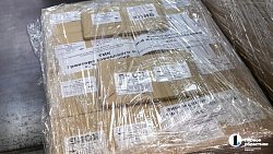 Бюллетени для выборов передали в избирательную комиссию Челябинской области