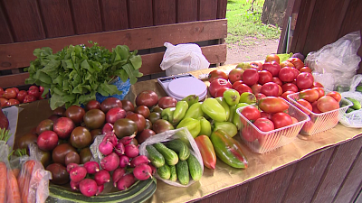 Садоводы Челябинска продают излишки урожая