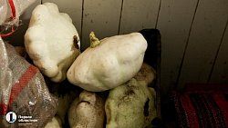 В копейском храме ведут подсобное хозяйство и делятся урожаем с прихожанами