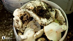 В копейском храме ведут подсобное хозяйство и делятся урожаем с прихожанами