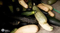 В копейском храме ведут подсобное хозяйство и делятся урожаем с прихожанами