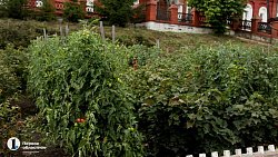 В копейском храме ведут подсобное хозяйство и делятся урожаем с прихожанами