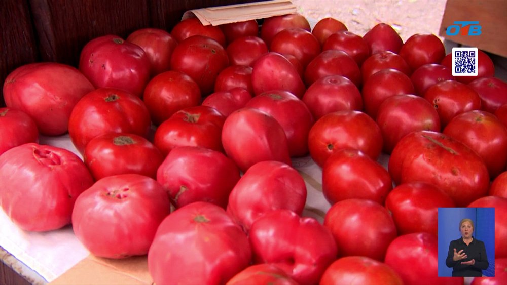 Южноуральские садоводы празднуют рекордный урожай