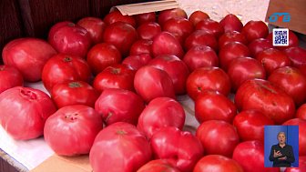 Южноуральские садоводы празднуют рекордный урожай