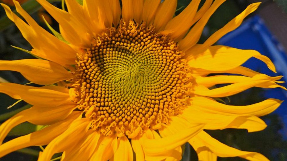 Какая погода будет в Челябинской области 3 сентября