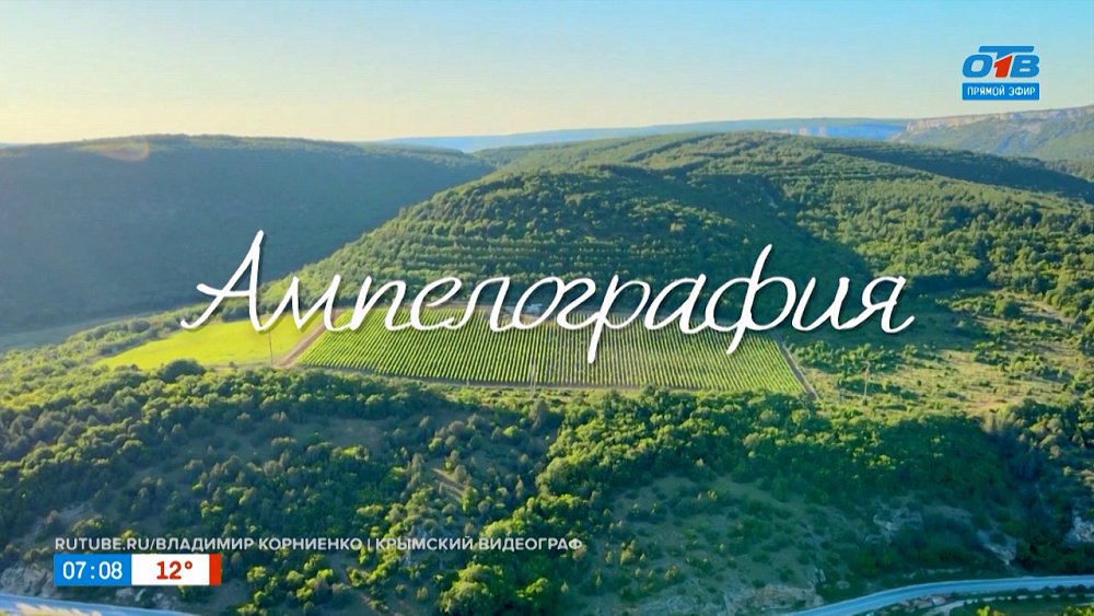 Ампелография в рубрике «Что-то там... логия и где-то там... ведение»