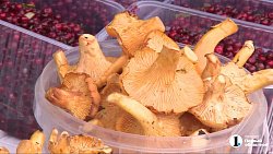 Челябинские садоводы продают на рынках богатый урожай — 2025