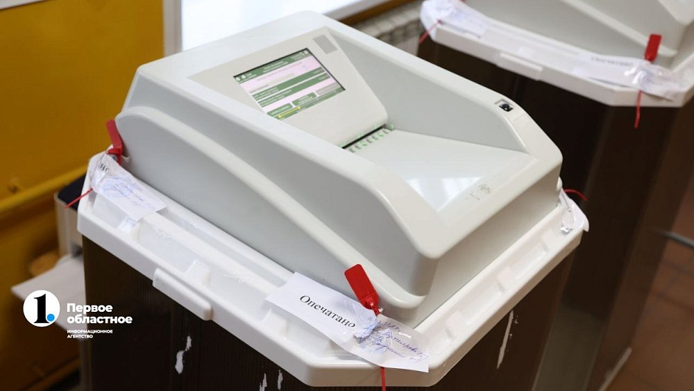 Южноуральцы начали тестировать систему дистанционного электронного голосования