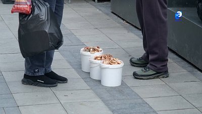 Миасские любители «тихой охоты» поделились информацией о текущем грибном сезоне