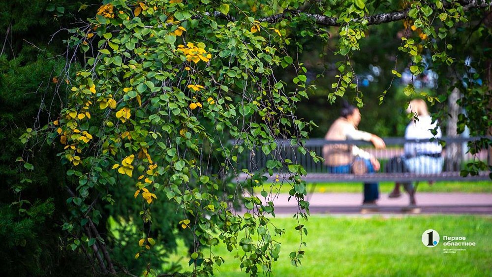Кратковременный дождь и грозу обещают синоптики в эту субботу в Челябинской области