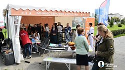 За три месяца фестиваль «Челябинская область — большая семья» охватил более 200 тысяч южноуральцев