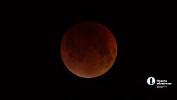 Челябинец заснял все фазы затмения «кровавой» луны 7 сентября