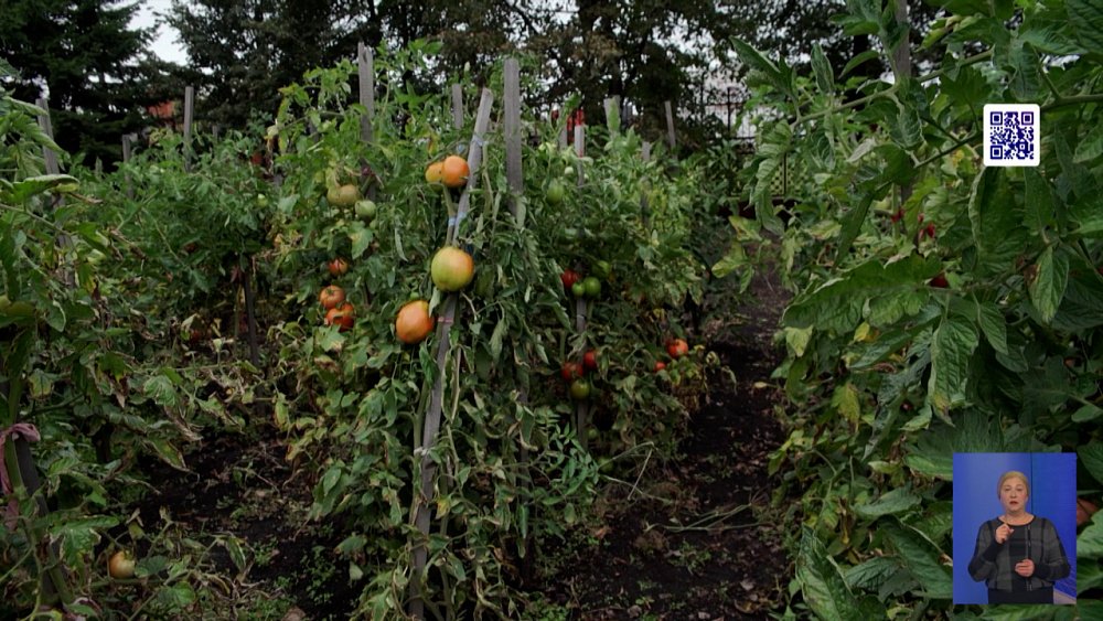 Копейский священник превратил заброшенный пустырь в любимое место отдыха горожан