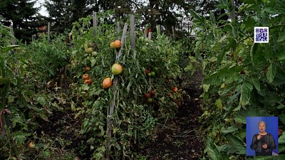 Копейский священник превратил заброшенный пустырь в любимое место отдыха горожан