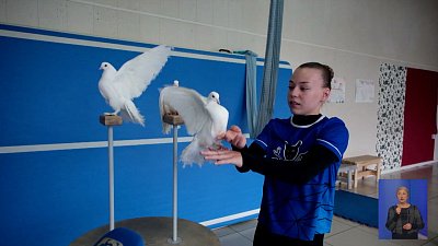 В Миассе артисты цирка дрессируют голубей