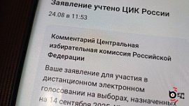 В Челябинской области более 144 тысяч жителей проголосуют дистанционно В Челябинской области более 144 тысяч жителей проголосуют дистанционно