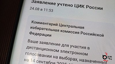 В Челябинской области более 144 тысяч жителей проголосуют дистанционно