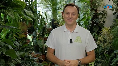 Садоводы Южного Урала надеются на долгую и теплую осень