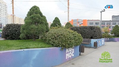 Как сквер возле торгового комплекса стал точкой притяжения для всего Челябинска