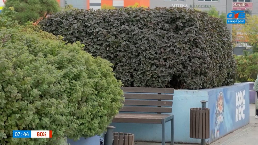 Челябинск расцветает в сюжете «Космический сквер»