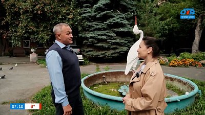 Места с романтическим флером в рубрике «Народные топонимы»