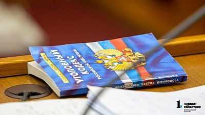 В Челябинске риелтор обналичила 25 сертификатов на маткапитал