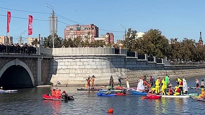 Лягушки и акулы проплыли на сапбордах по Челябинску