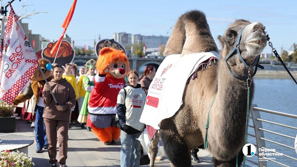 В Челябинске стартовал гастрофест «Блюда от верблюда»