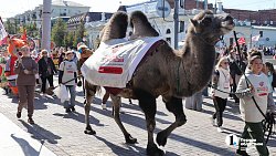 В Челябинске стартовал гастрофест «Блюда от верблюда»