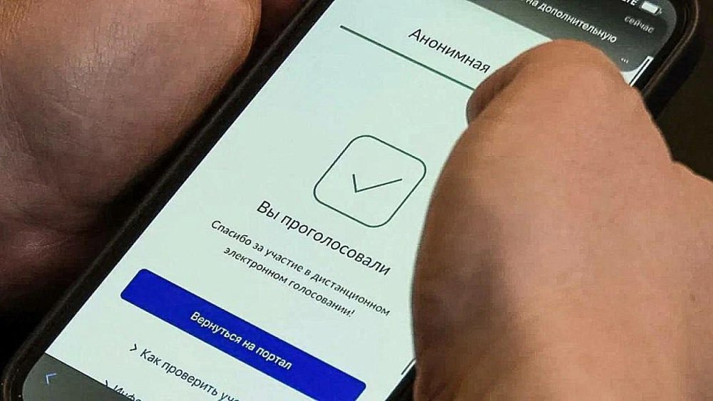 Более 120 тысяч южноуральцев проголосовали с помощью ДЭГ