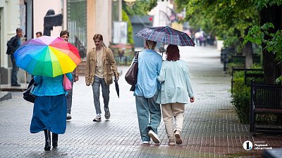 Почти половина компаний Челябинска использует удаленный формат работы