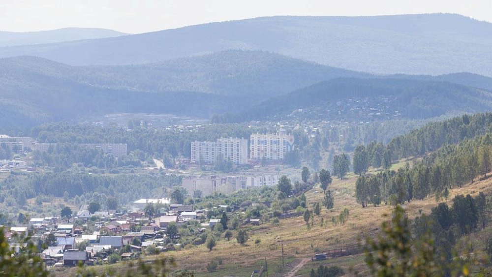 Медведя, который гуляет по Уреньге в Златоусте, отстрелят