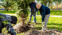 В Челябинске стало на километр деревьев больше