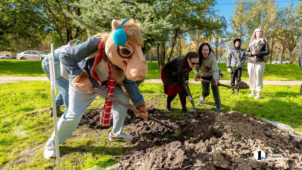 В Челябинске стало на километр деревьев больше