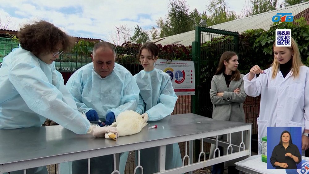 В Челябинске готовят зооволонтеров