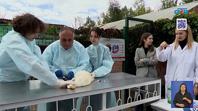 В Челябинске готовят зооволонтеров