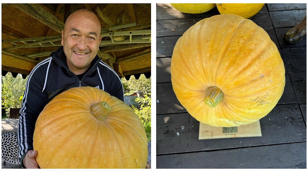 Стронгмен из Челябинской области вырастил тыкву весом почти 28 кг