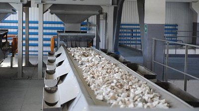 Кыштымский ГОК перешел под контроль московского инвестора