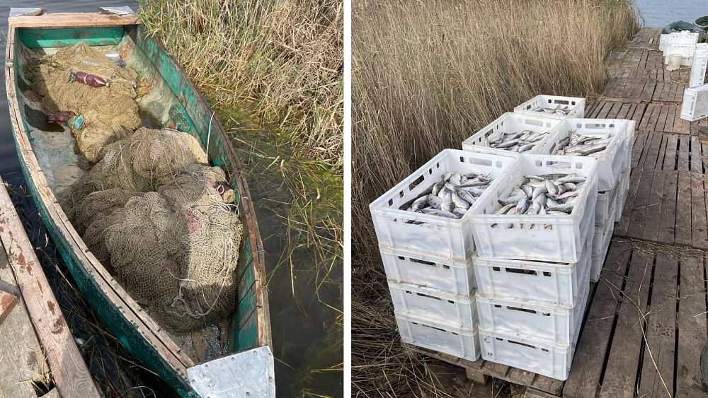 Шестеро браконьеров выловили рыбы на 10 млн рублей в Увельском районе