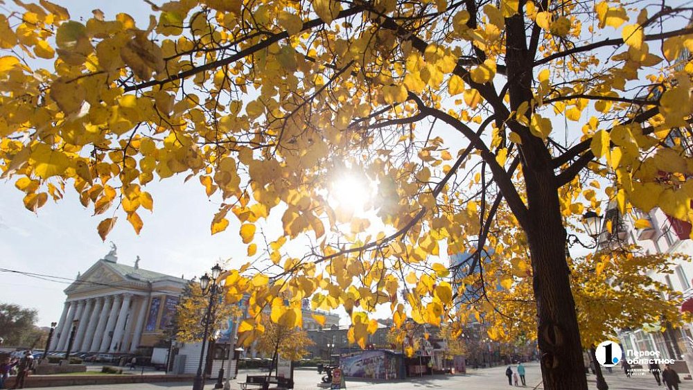 До +21°C поднимутся столбики термометров в Челябинской области днем 17 сентября