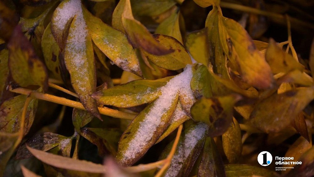 Первый снег в Челябинской области обещают уже в конце сентября