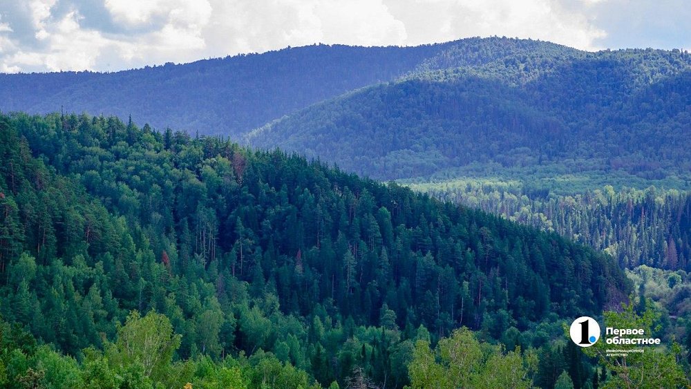 Хранители лесов Челябинской области отмечают профессиональный праздник