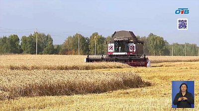 В Челябинской области фиксируют высокий урожай зерновых