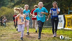 Более 20 тысяч южноуральцев приняли участие в «Кроссе нации — 2025»