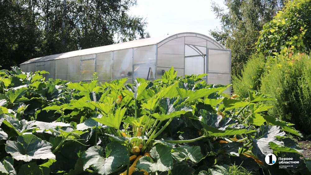 В конце сентября южноуральцы готовят теплицы к зиме