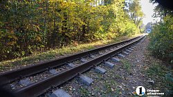 Челябинск в желтых тонах: шесть локаций для осенней фотосессии