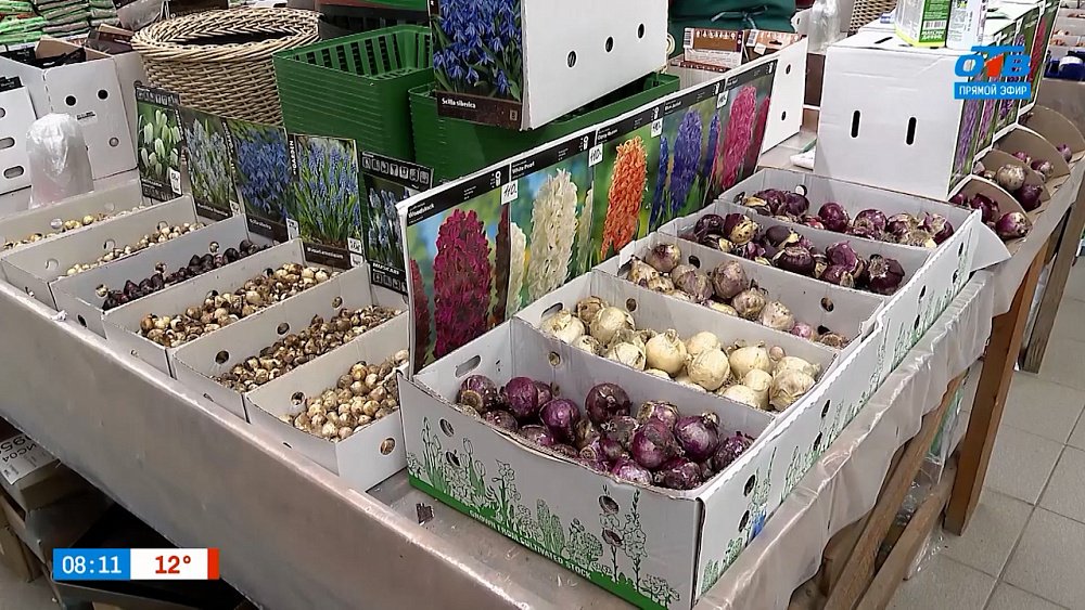 Будет ли весной сад утопать в цветах, расскажем в рубрике «Руки садовода»