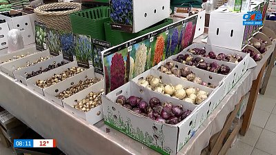 Будет ли весной сад утопать в цветах, расскажем в рубрике «Руки садовода»